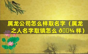 属龙公司怎么样取名字（属龙之人名字取镇怎么 🌾 样）